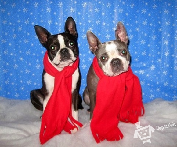 Keeping Warm in Style