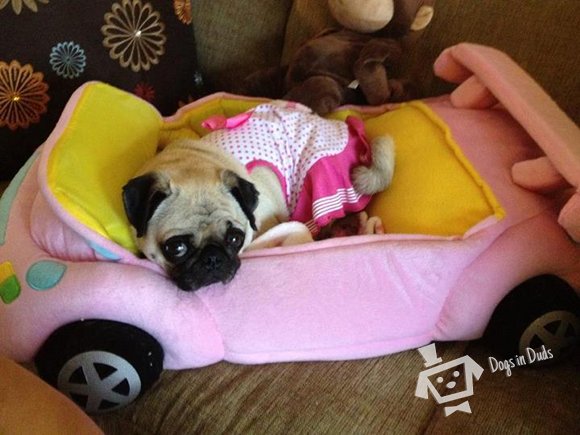Beep Beep!