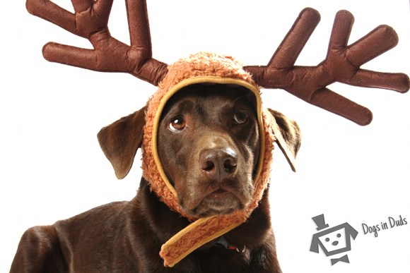 reindeer antlers hat