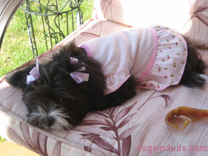 Sleeping Beauty