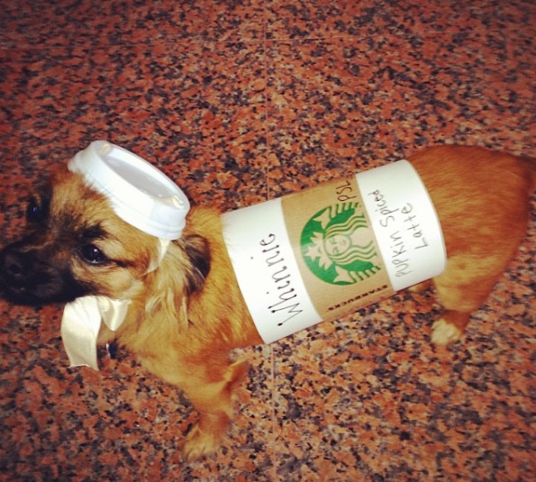 pupkin-spiced-latte