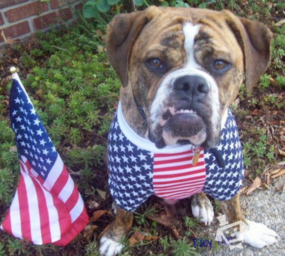 Happy 4th of July!