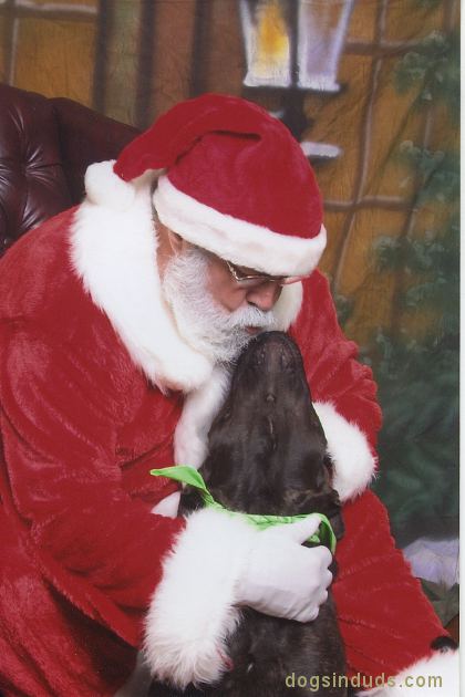 Santa loves dogs