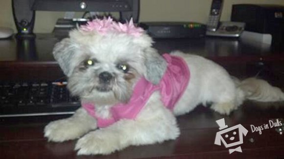 Rosie in Name and Color